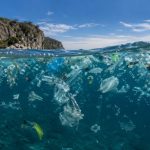 Elias Assum Sabbag Junior