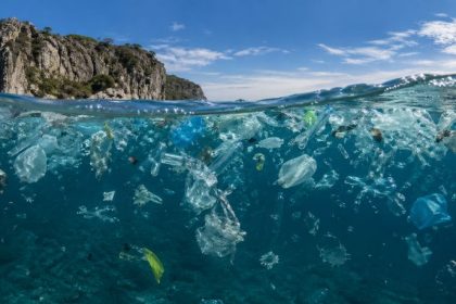 Elias Assum Sabbag Junior