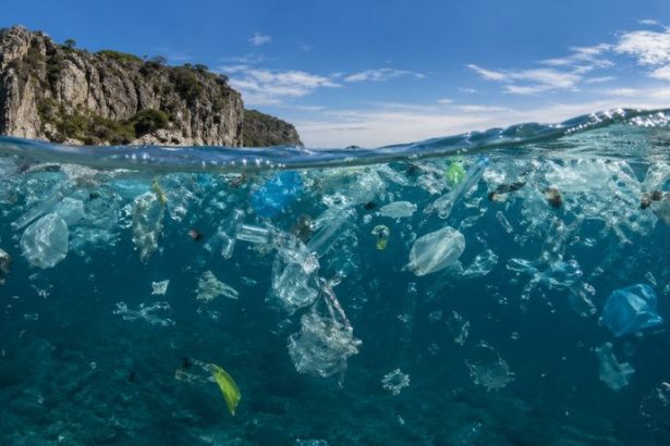 Elias Assum Sabbag Junior