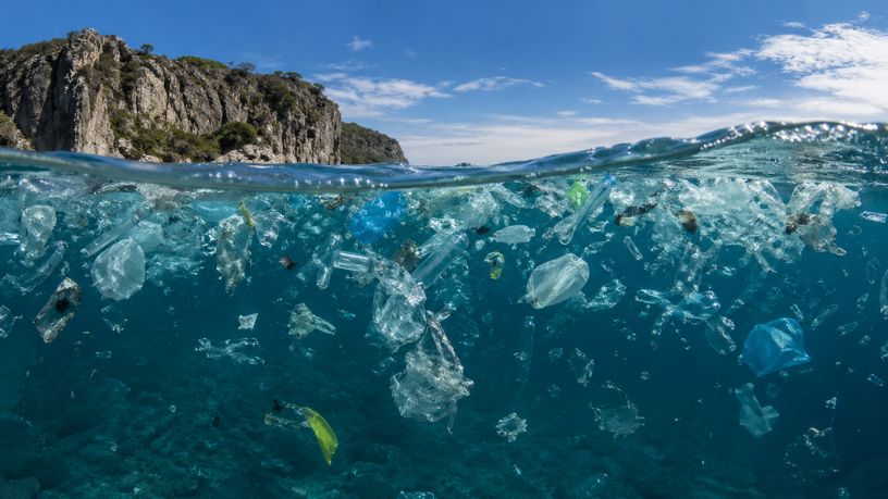 Elias Assum Sabbag Junior